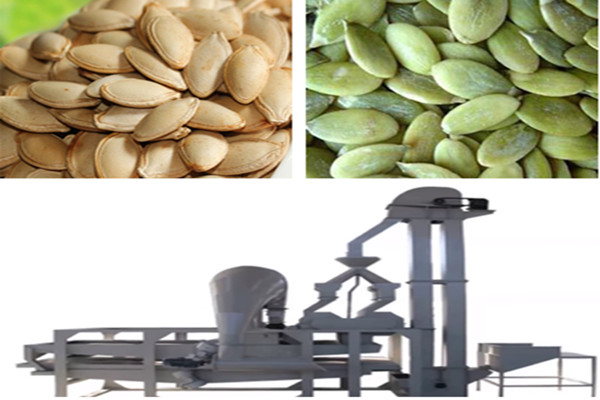 pumpkin seeds shelling machine .jpg