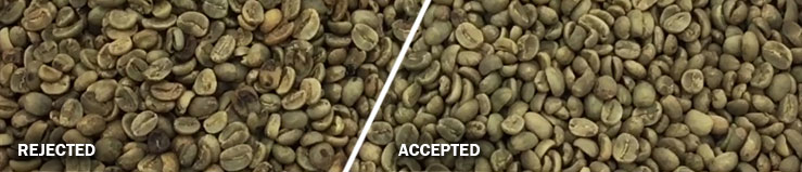 Máquina de limpieza y clasificación de granos de café